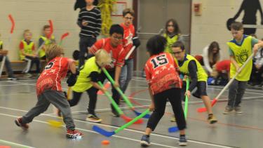 Floor Hockey