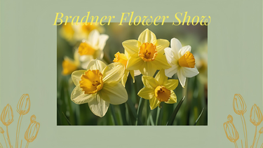 Bradner Flower Show